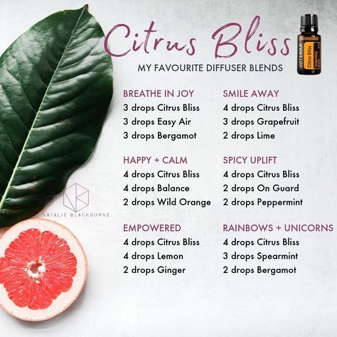 Natalie Blackburne on Instagram: “I normally call Citrus Bliss the Grumpy Husband or Grumpy House blend! But today I'll call it the Grumpy Nat Blend!! 😜  Yep it's a…” Doterra Citrus Bliss Diffuser Blends, Doterra Citrus Bliss, Doterra Oils Recipes, Essential Oil Usage, Doterra Blends, Roller Blends, Doterra Diffuser, Doterra Diffuser Blends, Doterra Essential Oils Recipes