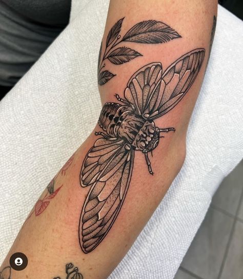 Cicada Tattoo, Thigh Tat, Bug Tattoo, Elbow Tattoos, Knee Tattoo, Side Tattoos, Tattoo Placement, Do You Like It, Tattoo Design Drawings