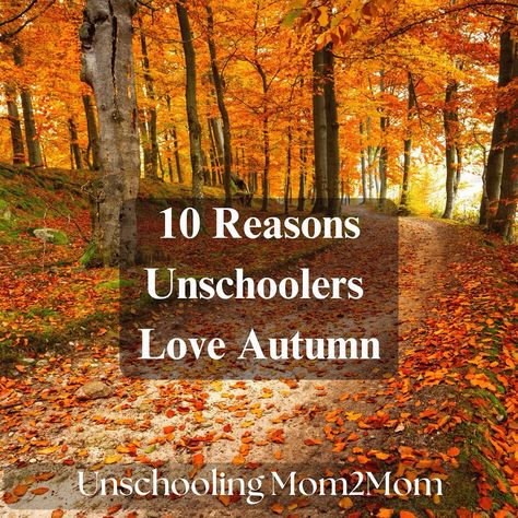 There are so many advantages that unschoolers get in the fall! Here’s some of our favorites. Did we miss any? 1️⃣ Shorter lines at ammusement parks. 2️⃣ Out of season prices on field trips. 3️⃣ Pumpkin carving parties with friends. 4️⃣ Uninterrupted creativity and play! 5️⃣ Late night activities like bonfires and hayrides. 6️⃣ Sleeping in on a school day. 7️⃣ You get to keep 8️⃣ Keeping all the apple “gifts” that you’re supposed to give teachers. 9️⃣ No waiting at the bus stop in the cold..... Late Night Activities, Night Activities, Pumpkin Carving Party, Play 5, Apple Gifts, Unschooling, Field Trips, Day 7, Bus Stop