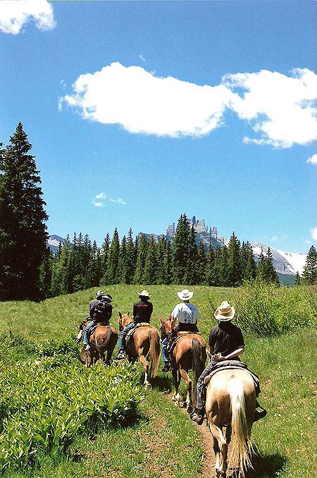 all day trail rides with a picnic lunch Camping With Horses Trail Riding, Group Horse Riding, Horse Trekking, Ranching Life, Horse Land, Horse Camping, Trail Riding Horses, Horse Camp, Picnic Lunch