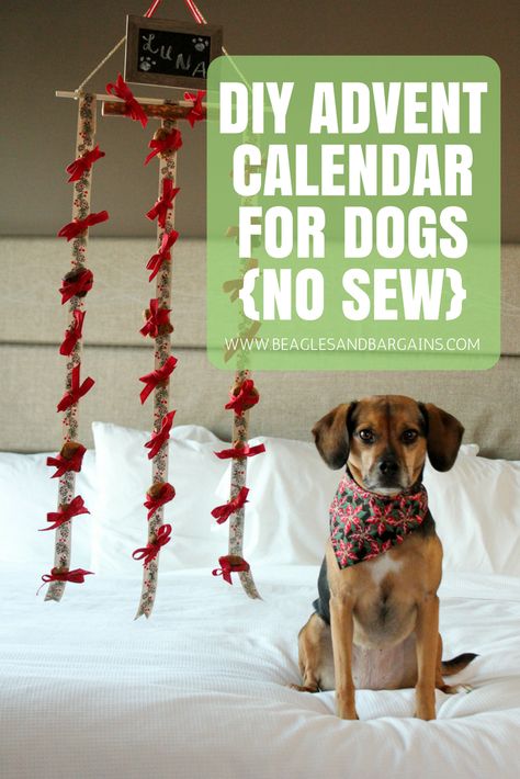 DIY Advent Calendar for Dogs - No Sew Craft Tutorial Advent Calendar For Dogs, Crafts For Dogs, Dog Advent Calendar, Sewing Patterns Free Beginner, Dog Craft, Dogs Diy Projects, Paw Art, Good Dogs, Three Dog