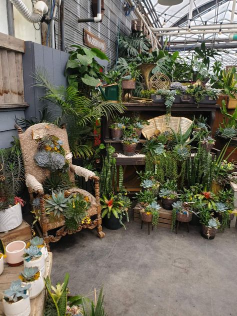 Garden Center Displays, Nursery Garden, Nomad Life, Shop Displays, Plant Seeds, Patio Plants, Lifestyle Store, Retail Space, Shop Display