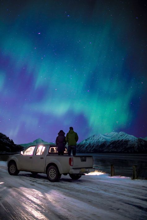 Searching for Northern Lights in Anchorage, Alaska | Wander The Map Northern Lights Canada, Northern Lights Tattoo, Alaskan Malamute Puppies, Alaska Northern Lights, Alaska Winter, Northern Lights Photography, Alaska Photography, Northern Lights Painting, Alaska Vacation