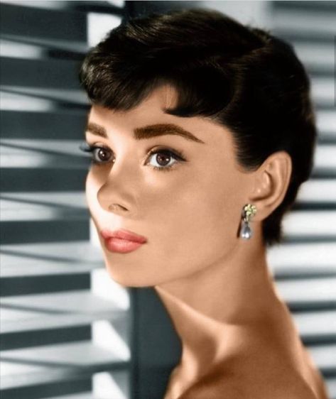 Audrey Hepburn Audrey Hepburn Eyebrows, Audrey Hepburn Hair, Audrey Hepburn Pictures, Aubrey Hepburn, Audrey Hepburn Photos, Audrey Tautou, Audrey Hepburn Style, Hepburn Style, Actrices Hollywood