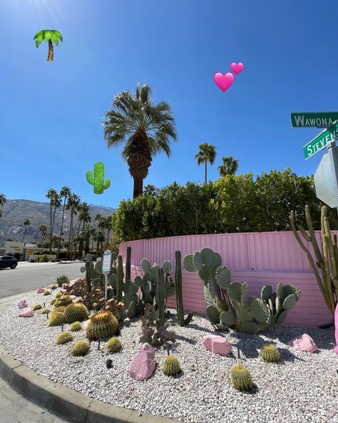 California Palm Spring, Vintage Palm Springs Aesthetic, Cali Aesthetic, Mid Century Palm Springs, Vintage Palm Springs, Palm Springs Aesthetic, California Aesthetic, Desert Aesthetic, Group Trip