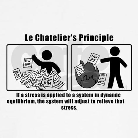 Aah, finals Le Chatelier's Principle, Biology Humor, Montessori Elementary, Chemistry Jokes, Grammar Humor, Accessories Necklaces, Song Words, Teacher Memes, Science Jokes