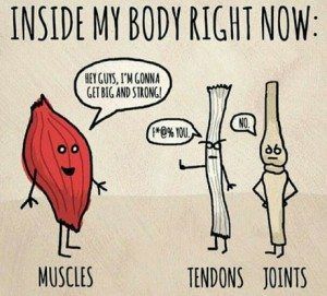 Muscle on fleek. Bones and tendons not so much.  Body talk the day after working out ouch!!  www.jackiesbc16.com  Friend or follow me Jackie Nelson @jackiesbc16 @browninkus  #thedayafter #afterworkout #sore #lmbo #lmao #funny #humor #gymlife #lawofattraction #follow4follow #quotes #jackiesbc16 #browninkus Gym Humour, Laughing Funny, Fitness Memes, Jillian Michaels, Gym Quote, Cardio Training, Workout Memes, Gym Memes, Gym Humor