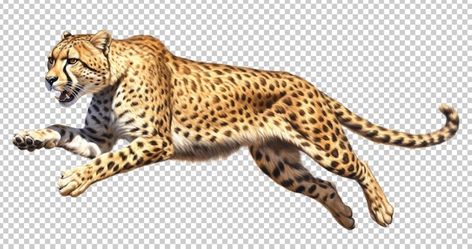 Leopard Running, Cheetah Running, Cheetah Face, Psd Icon, Vector Photo, Graphic Resources, Transparent Background, Running, Animals