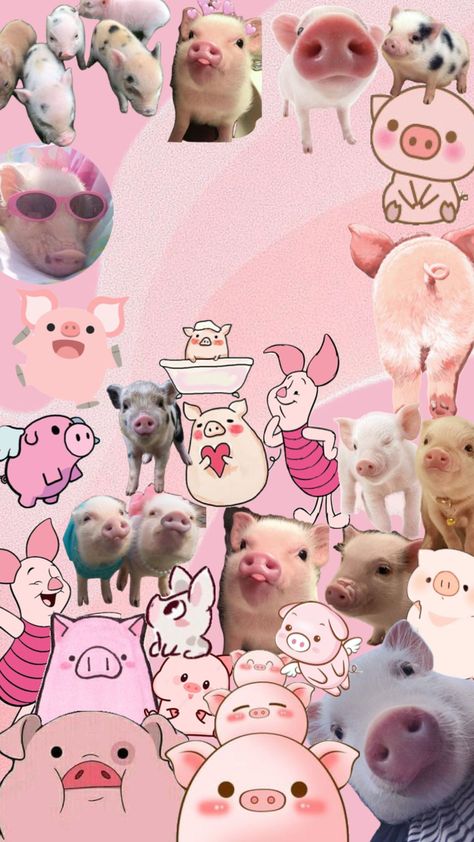 piggy wallpaper for my lil sis🥰🫶 #piglet #pigs #pig #pink Piggy Wallpaper, Pig Wallpaper, Lil Sis, Cute Pigs, Screen Wallpaper, Create Collage, Pink Wallpaper, Creative Play, Pigs