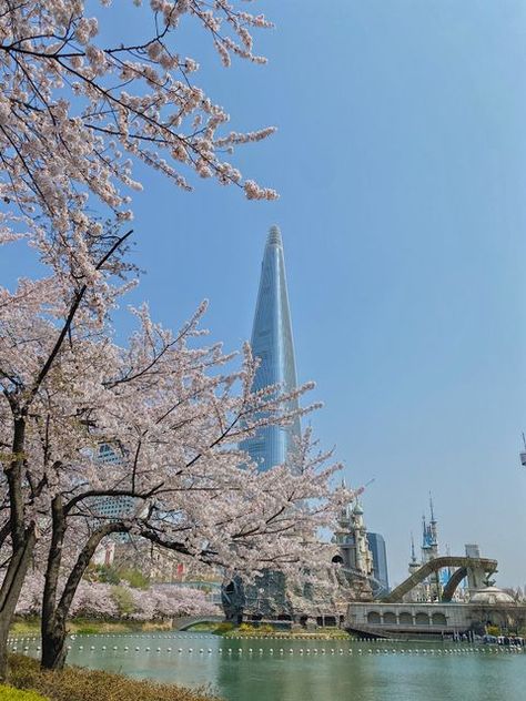 Gallery | dasomssh98 | VSCO Wallpaper Iphone Sky, Spring In Seoul, Love Wallpaper Iphone, Seoul Spring, South Korea Travel, Korea Seoul, Sky Nature, Korea Travel, Travel Checklist