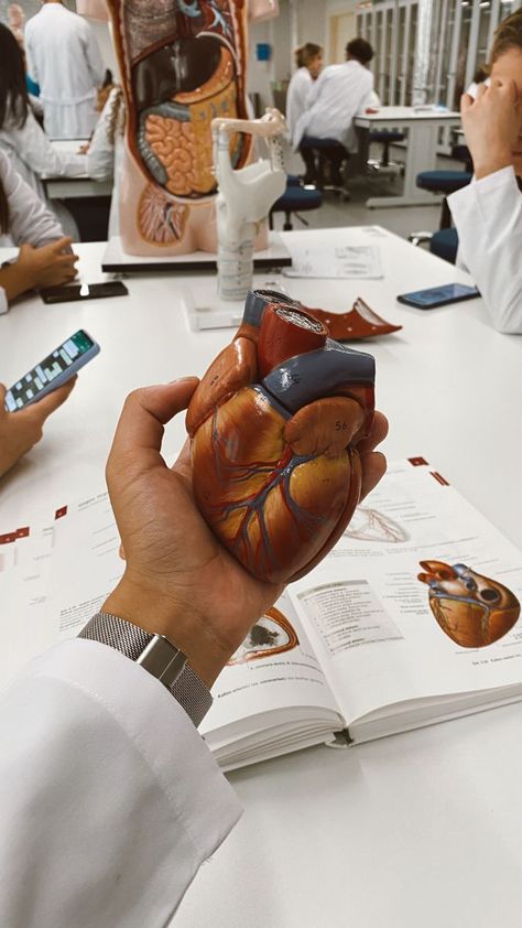 Anatomy Lab, Heart Doctor, Medical School Life, Medical Pictures, Medicine Studies, Nurse Aesthetic, Medical Student Motivation, Med School Motivation, Medical Wallpaper