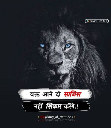 Bhai Attitude Shayari, Jaat Attitude Wallpaper, Attitude Shayari For Girls In Hindi, Attitude Quotes For Girls In Hindi, Attitude Quotes For Boys In Hindi, Sayri Hindi Attitude, Lion Status, Attitude Shayari Hindi, Attitude Status Hindi