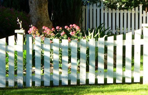 White Picket Fences in American Suburbia <3 White Fence, White Picket Fence, Picket Fence, Lady And The Tramp, American Dream, Aesthetic Photography, Fence, Mood Board, Prom