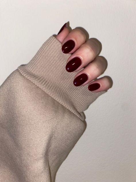 She is showing her nails which are short, almond shaped and dark red Cherry Wine Nail Color, Dark Bordeaux Nails, Dark Red Round Acrylic Nails, Dark Cherry Red Nails Short, Short Round Dark Nails, Short Round Dark Red Nails, Deep Red Oval Nails, Short Oval Nails Winter, Dark Nails Oval