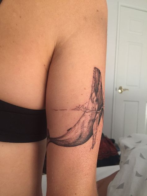 Sea Lion Tattoo Ideas, Hump Back Whale Tattoo, Sea Animal Tattoos Sleeve, Whale Tattoo Arm, Whale Skeleton Tattoo, Beluga Whale Tattoo, Ocean Back Tattoo, Whale Tattoo Design, Tattoo Whale