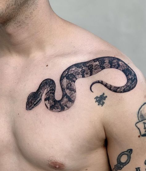 Sam Mancino on Instagram: “Cottonmouth ♠️♠️♠️ thank you Tyler - - -#cottonmouth #cottonmouthtattoo #floridatattoo” Cotton Mouth Snake, Mouth Tattoo, Florida Tattoos, Cotton Mouth, Snake Tattoo, Word Out, Human Anatomy, Infinity Tattoo, Paw Print Tattoo