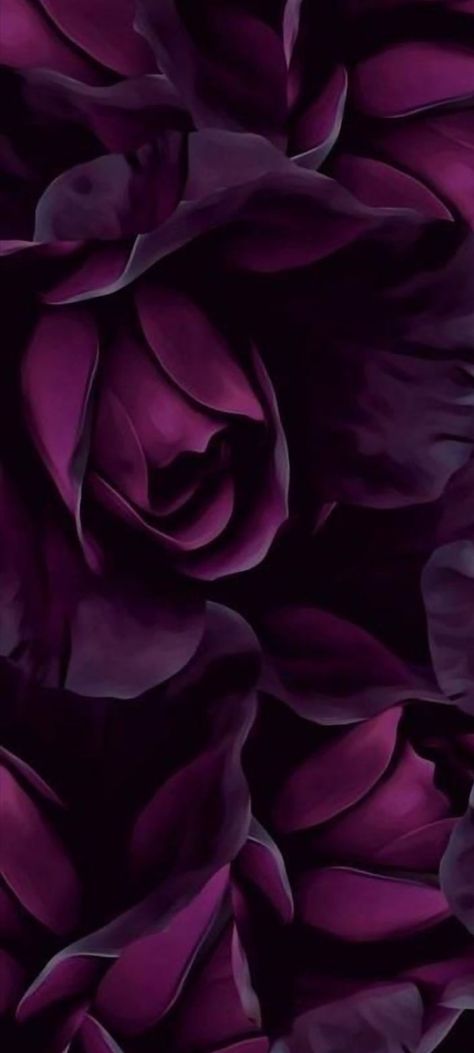 Wallpaper Huawei, Purple Flowers Wallpaper, نباتات منزلية, Wolf Wallpaper, Rose Violette, Beauty Wallpaper, Phone Wallpaper Images, Flower Phone Wallpaper, Alam Yang Indah