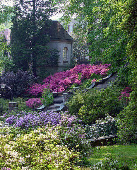 Peace Winterthur Gardens, Monochromatic Flowers, Taman Air, Have Inspiration, Winterthur, Gorgeous Gardens, Garden Cottage, English Garden, Shade Garden