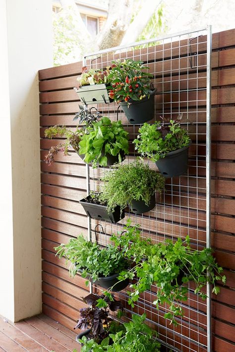 Vertical Herb Gardens, Herb Garden Wall, Vertikal Garden, Vertical Vegetable Gardens, Outdoor Herb Garden, Vertical Garden Design, نباتات منزلية, Plant House, Vertical Herb Garden