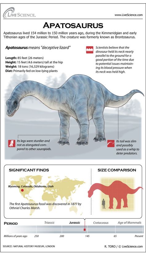 Learn about the Jurassic-era plant eating dinosaur Apatosaurus. Dinosaur Information, Types Of Dinosaurs, Dinosaur Facts, Jurassic Period, Land Animals, Cool Dinosaurs, Dinosaur Illustration, Dinosaur Activities, Ancient Animals