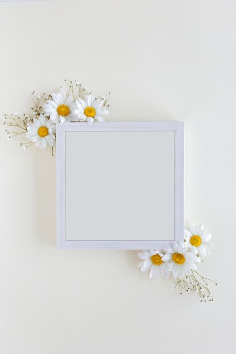 Jewellery Background, Blank Photo Frame, Canvas Photography, Blank Photo, Photo Frame Wallpaper, Instagram Photo Frame, Photo Frame Design, Instagram Background, Instagram Frame Template