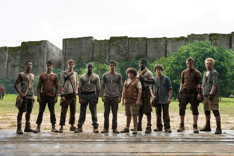 Maze Runner Glade, The Glade Aesthetic, The Glade Maze Runner, Maze Runner The Glade, Maze Runner Maze, Maze Runner 1, Maze Runer, The Glade, Maze Runner The Scorch