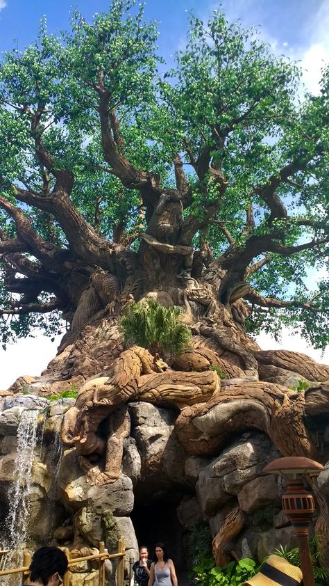 The Tree of Life Disney's Animal Kingdom Walt Disney World Disney Animals, The Tree Of Life, The Tree, Walt Disney World, Animal Kingdom, Tree Of Life, Disney World, Walt Disney, Trees