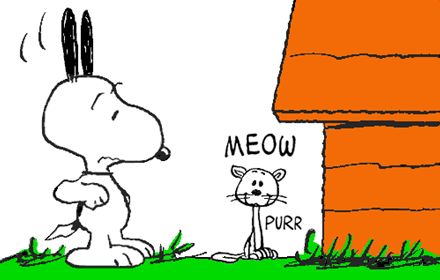 Snoopy Finding the Neighborhood Cat on his Doorstep Snoopy Cat, Snoopy Stuff, Peanut Gallery, Snoopy Comics, Peanuts Comic Strip, Snoopy Images, Peanuts Cartoon, Peanuts Characters, Snoopy Wallpaper