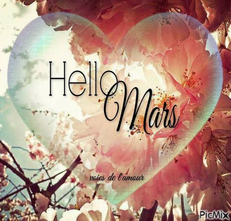 Hello Mars #mars coeur fleurs pommier printemps Bonjour Mars, Hello Mars, Mars Images, Good Day Wishes, Hello March, Backgrounds Phone Wallpapers, Day Wishes, Phone Backgrounds, Images Photos