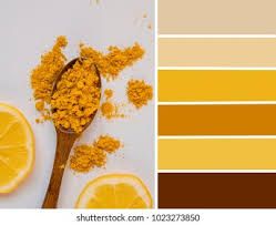 Palette Lemon Turmeric Colours Yellow Browm Stock Photo (Edit Now) 1023273850 Website Color Palette, Colors Inspiration, Pencak Silat, Color Palette Bright, Nature Color Palette, Nature Decor, Color Wheel, Black Accents, Stop Motion