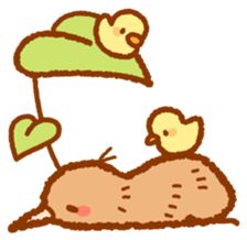 Anytime Kiwi - Creators' Stickers Cute Kiwi Drawing, Kiwi Illustration, Kiwi Animal, Kiwi Bird Drawing Cute, Kiwi Bird Wallpaper, Kiwi Birds Cute, Kiwi Sticker, Kiwi Bird Art, Walpapers Cute