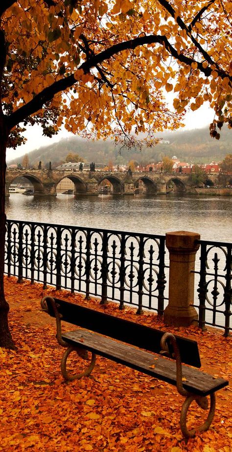 #Autumn #Prague is real romance... Season of wine festivals and hot drinks is approaching! Autumn Melancholy, Charles Bridge, Countries To Visit, Prague Czech Republic, Prague Czech, Autumn Scenery, Autumn Beauty, Fall Pictures, Life Story