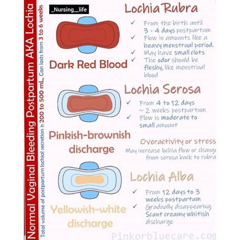 Obstetrics Nursing, Midwifery Student, Postpartum Nursing, Birth Education, Student Midwife, Nursing Study Guide, Ob Nursing, Nursing Mnemonics, Pharmacology Nursing