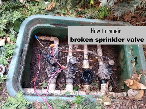 How to fix a broken sprinkler valve when sprinklers will not shut off DIY #diy #fixit #doityourself #sprinklers #lawncare #garden #sprinklervalve #fixsprinklers #newvalve #gardencare #sprinkler #valve #torovalve #toro Sprinkler Valve, Handy Woman, Sprinklers, Garden Care, Lawn Care, Garden Hose, Fix It, Repair, Yard