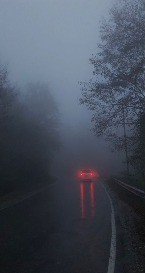 Twilight Rain Aesthetic, Rain And Fog Aesthetic, Fog Aesthetic Dark, Gloomy Rain Aesthetic, Foggy Day Aesthetic, Tvd Aesthetic Wallpaper, Rain Astethic, Dark Rain Aesthetic, Twilight Aesthetic Wallpaper