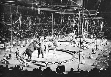 Ringling Brothers | Biographies, Circus, & Facts | Britannica.com Three Ring Circus, Ringling Brothers Circus, Circus Acrobat, Hanson Brothers, Barnum Bailey Circus, Ringling Brothers, Circus Sideshow, Mom Brain, School House Rock