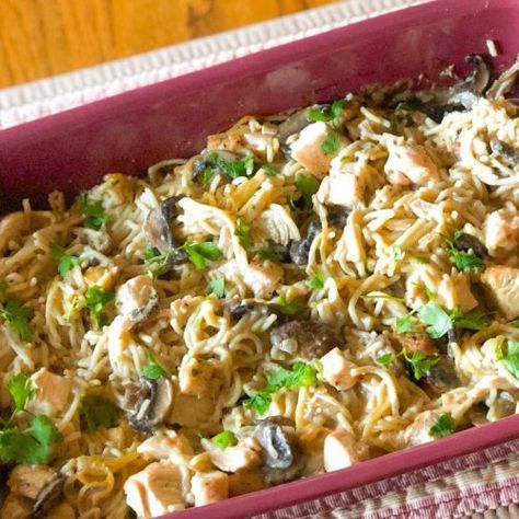 Dairy and Gluten Free Chicken Tetrazzini | Eating With Food Allergies Gluten Free Chicken Broth, Turkey Tetrazzini Recipe, Chicken Tetrazzini Recipes, Gluten Free Turkey, Dairy And Gluten Free, Turkey Tetrazzini, Chicken Tetrazzini, Recipe For Chicken, Rotisserie Chicken Recipes