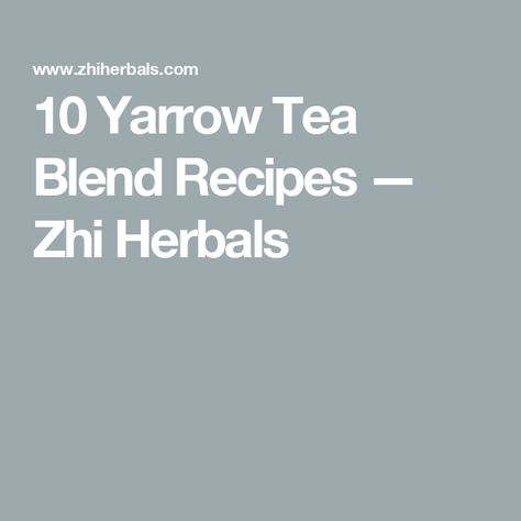 10 Yarrow Tea Blend Recipes — Zhi Herbals Yarrow Tea, Tea Mixes, Vein Health, Tea Blends Recipes, Hawthorn Berry, Digestive Juice, Herbal Teas Recipes, Herbal Tea Blends, Tea Recipe