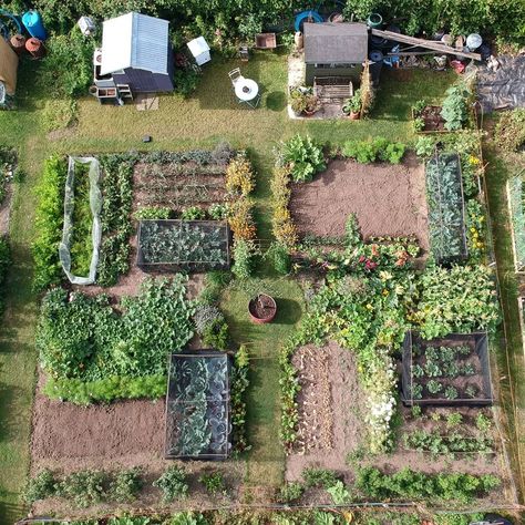 Veggie Garden Layout, Gardener Aesthetic, Swedish Farmhouse, Gardening Aesthetic, Design Backyard, Backyard Garden Layout, Garden Layout Vegetable, Allotment Gardening, Potager Garden