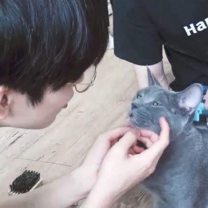 Wonwoo Bf Pics, Wonwoo Heart Icon, Wonwoo With Cat, Wonwoo Cute Icon, Jeon Wonwoo Icons, Wonu Icon, Wonwoo Cat, Cute Wonwoo, Wonwoo Seventeen Icon