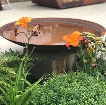 The water bowl is a beautiful addition to almost any outdoor space. It will create a pleasant, tranquil environment. Corten Steel Water Bowl, Garden House Design, Australian Gardens, Backyard Ponds, Bird Water, Urban Gardens, Planting Design, Courtyard Gardens Design, Pond Ideas