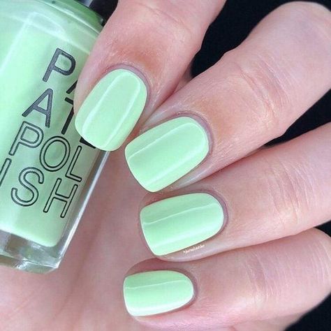 A neon-y pastel green polish. Palate Polish is small batch and 10-free, excluding many typical toxic ingredients found in nail polish. It is also vegan and cruelty-free. Made by: Palate Polish Made in: Portland, OR Specifications: 0.5oz/15ml Further Reading: ﻿﻿10-free polish excludes these toxic chemicals: Toluene, Formaldehyde, Dibutyl Phthalate (DBP), Formaldehyde Resin, Camphor, Triphenyl Phosphate (TPHP), Xylene, Ethyl Tosylamide, Methylisothiazolinone (MIT) and Parabens. Mint Nail Polish, Mint Nails, Green Acrylic Nails, Sweet Mint, Green Polish, Green Nail, Cute Gel Nails, Vacation Nails, Toxic Chemicals