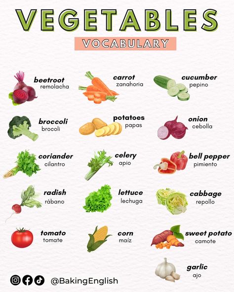 Vegetables In English, English Word Book, Potato Onion, Growing Plants Indoors, Food Names, English Class, Healthy Salads, Healthy Salad Recipes, Learning Spanish