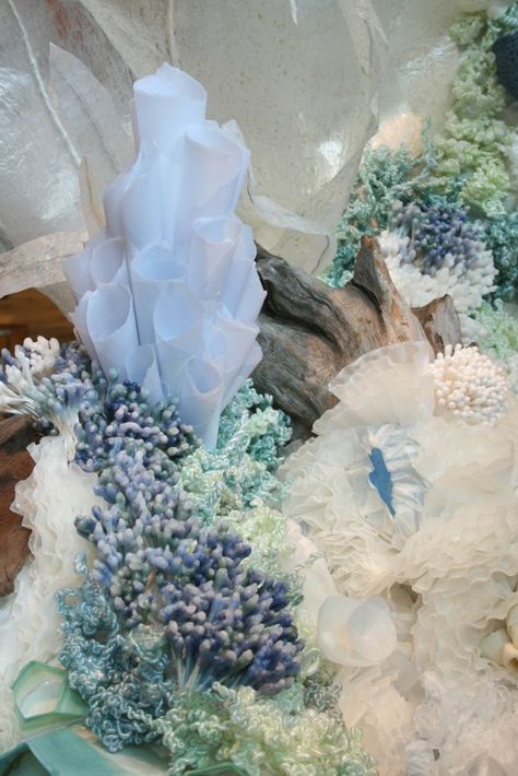 Ocean Commotion, Coral Art, Under The Sea Theme, Cotton Swabs, Under The Sea Party, Coral Reefs, Coffee Filters, Sea Theme, Window Displays