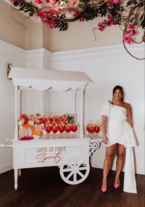 Aperol Wedding Bar, Aperol Spritz Seating Chart, Spritz Engagement Party, Aperol Spritz Table Decor, Spritz Shower Theme, Aperol Spritz Station Wedding, Aperol Spritz Bar Cart, Aperol Spritz Cart, Bridal Shower Aperol Spritz