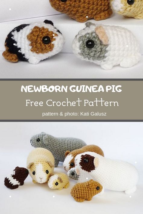 Newborn Guinea Pig Crochet Pattern ❤ Mycrochetpattern Hamster Free Crochet Pattern, Fun Easy Crochet Patterns Free, Crochet Hamster Pattern, Hamster Amigurumi Free Pattern, Crochet Guinea Pig Pattern Free, Hamster Crochet Pattern Free, Crochet Hamster Pattern Free, Crochet Guinea Pig Pattern, Guinea Pig Crochet Pattern