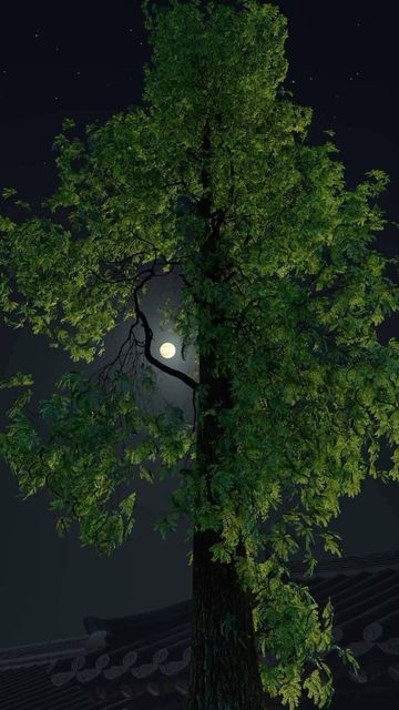 Nechar Photos, Night Landscape Photography, Calming Pictures, Sky Photography Nature, Night Landscape, Moon Photography, Tree Photography, Creatures Of The Night, Beautiful Images Nature