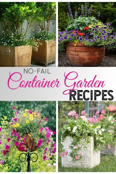 Create perfect container gardening containers with these recipes containing the flower combinations used as well as a no-fail formula that works every time!  #gardening #containergardening Planter Recipes Flower Pots, Flower Container Combinations, Container Garden Combinations, Flower Container Recipes, Container Garden Plans, Container Recipes Flower, Pink Container Flowers, Container Gardening Flowers Combinations, Flower Combinations For Planters