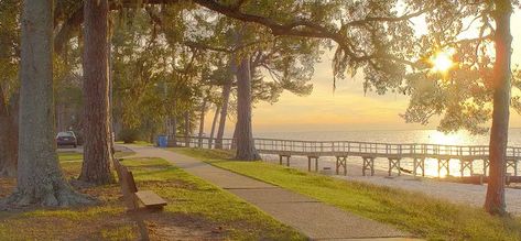 21 Best Things To Do In Fairhope, Alabama | Trip101 Fairhope Alabama, Fairhope Al, Alabama Travel, Dauphin Island, Community Park, North Beach, Eastern Shore, Orange Beach, Down South