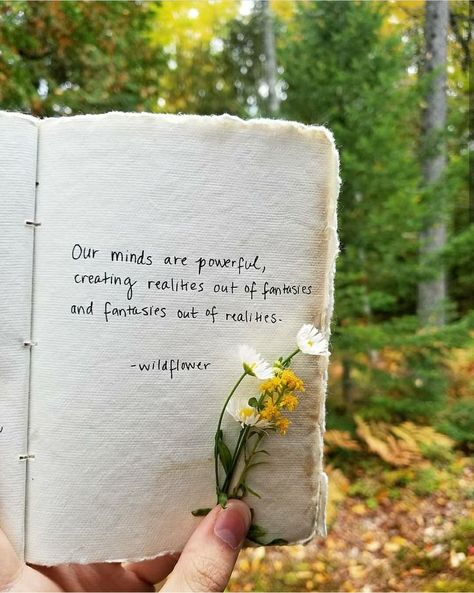 #wildflowermusings #poetry #igpoet #poetsofinstagram #wildflower #quotes | Wild flower quotes, Words that describe me, Quote aesthetic Wildflower Quotes, Flower Quotes Inspirational, Flower Poetry, Wild Flower Quotes, Flower Poem, Ultralight Hiking, Love Book Quotes, Create Quotes, Cutie Quote